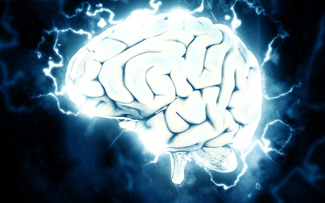 4 zajímavosti o mozku, které je dobré znát!
